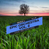 Epic Orchestra Vol. 6 Logic Pro Templates